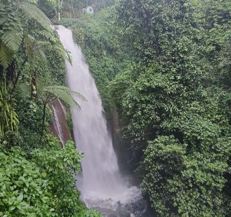 From Jakarta: Bogor Botanical Garden, Ricefield, & Waterfall - Why this day trip works beyond Jakarta