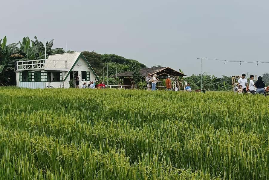 From Jakarta: Bogor Botanical Garden, Ricefield, & Waterfall - A short stop for local crafts and music