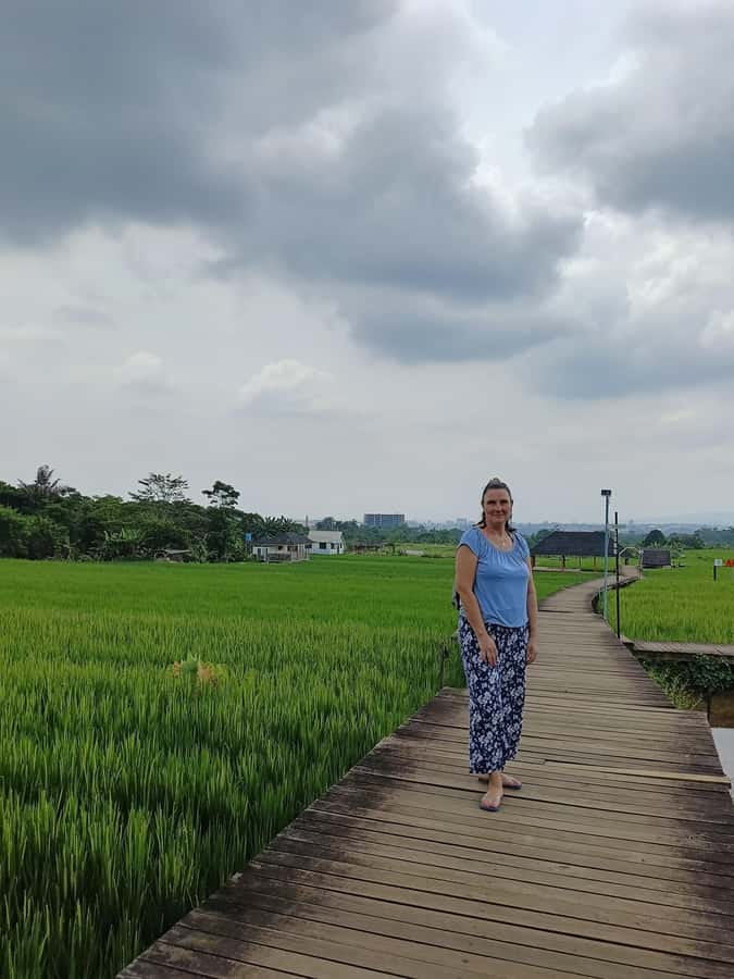 From Jakarta: Bogor Botanical Garden, Ricefield, & Waterfall - Mulyaharja and the rice terraces near Mount Salak