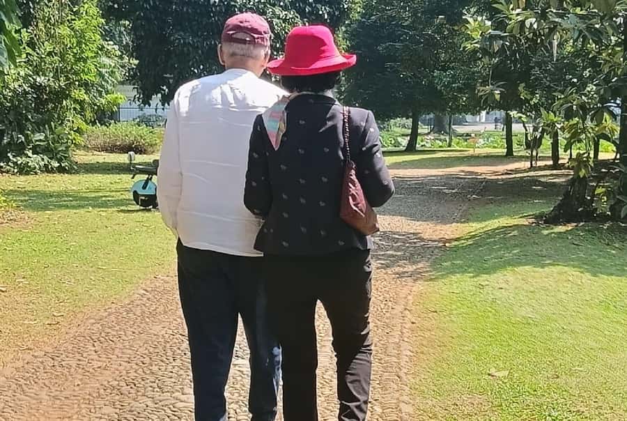 From Jakarta: Bogor Botanical Garden, Ricefield, & Waterfall - The waterfall walk and possible monkey sightings