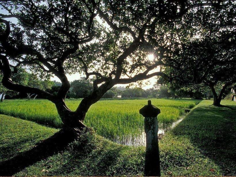 From Kalutara/Waskaduwa: Lunuganga & Brief Garden Tour - Key points at a glance