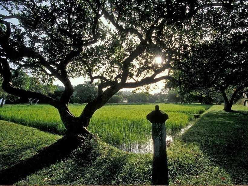 From Kalutara/Waskaduwa: Lunuganga & Brief Garden Tour - Is $90 a fair price?