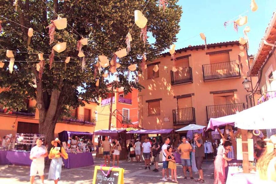 From Madrid: Day Trip to Brihuega Lavender Fields - Why Brihuega makes a good escape from Madrid