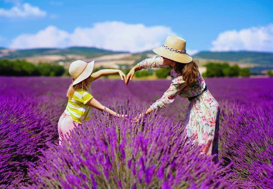 From Madrid: Day Trip to Brihuega Lavender Fields - Is $56 good value?
