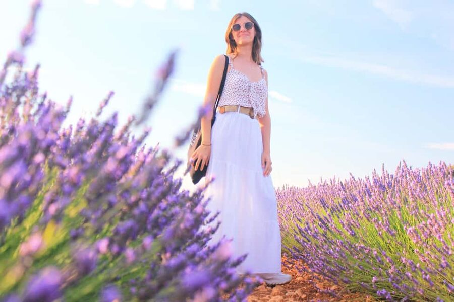 From Madrid: Day Trip to Brihuega Lavender Fields - Leaving Madrid by coach