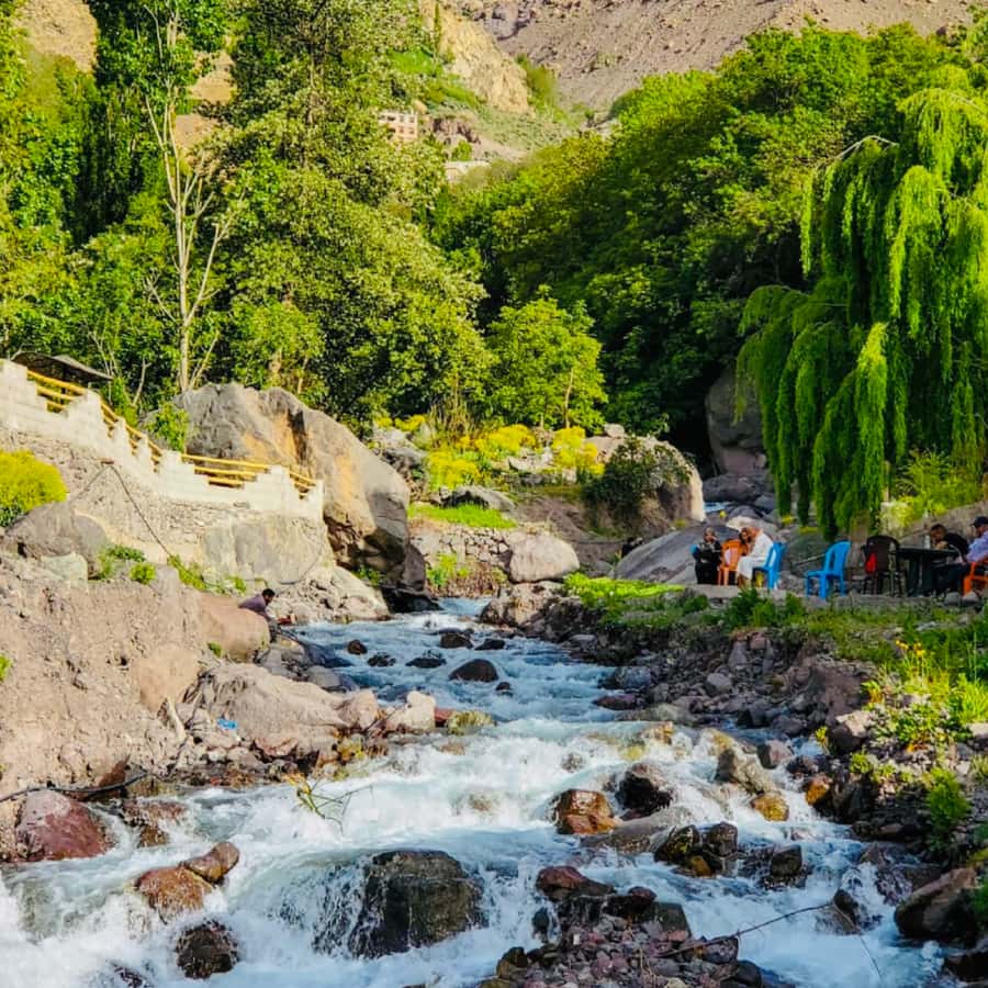 From Marrakech: Day Trip to Anima Garden and Imlil Valley - Key points to know before booking