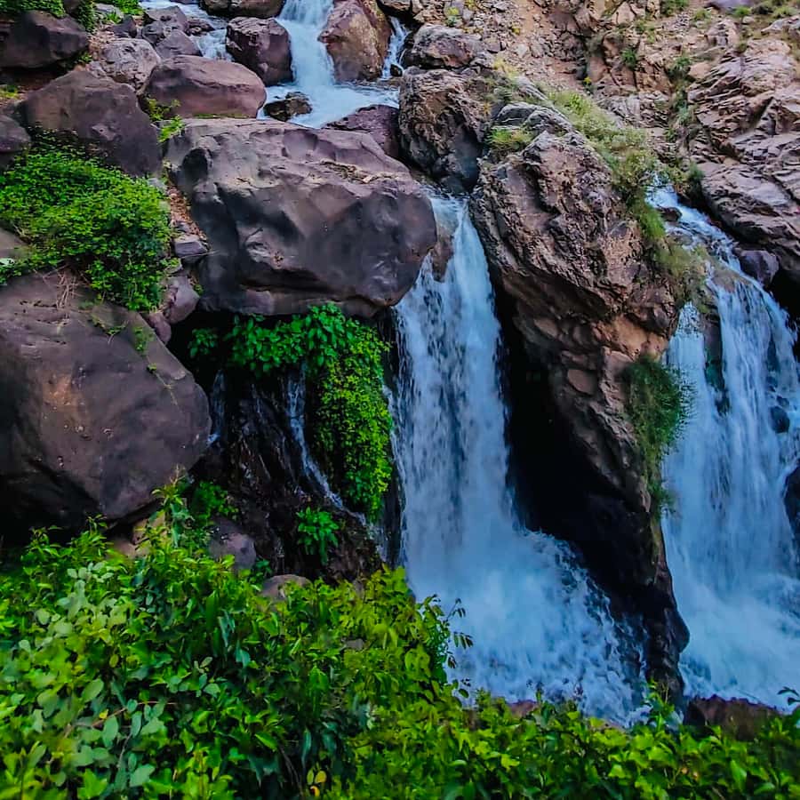From Marrakech: Day Trip to Anima Garden and Imlil Valley - From Marrakech traffic to Anima’s strange beauty