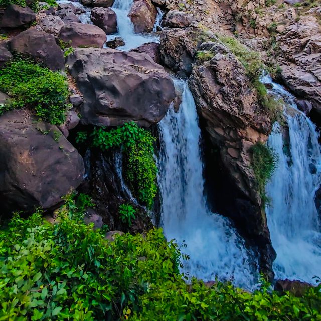 From Marrakech: Day Trip to Anima Garden and Imlil Valley - Who will enjoy this day trip most?