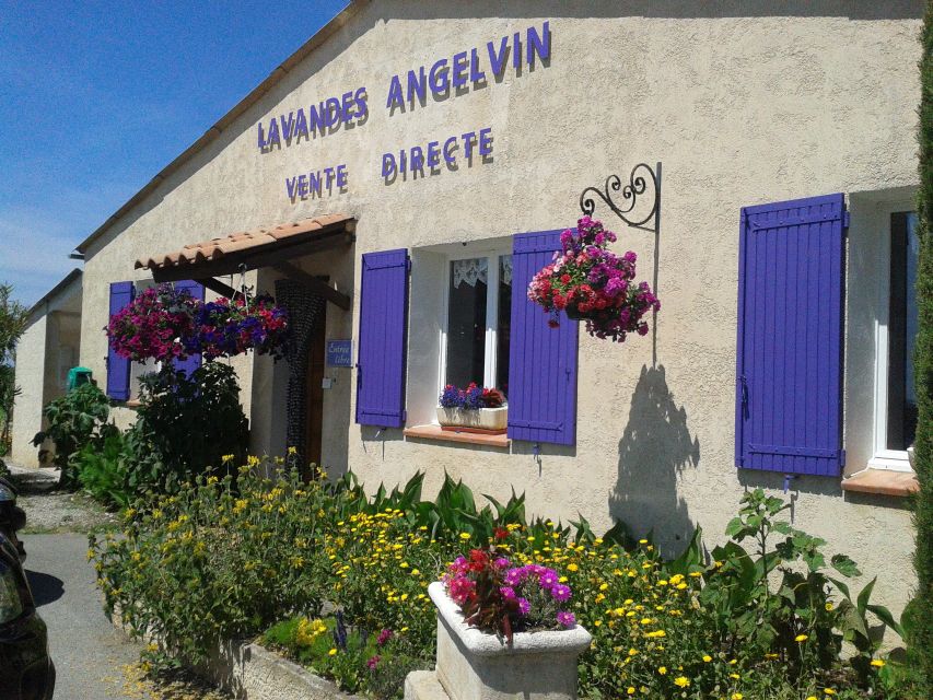 From Marseille: Valensole Lavenders Tour from Cruise Port - Is the $175 Price Good Value?