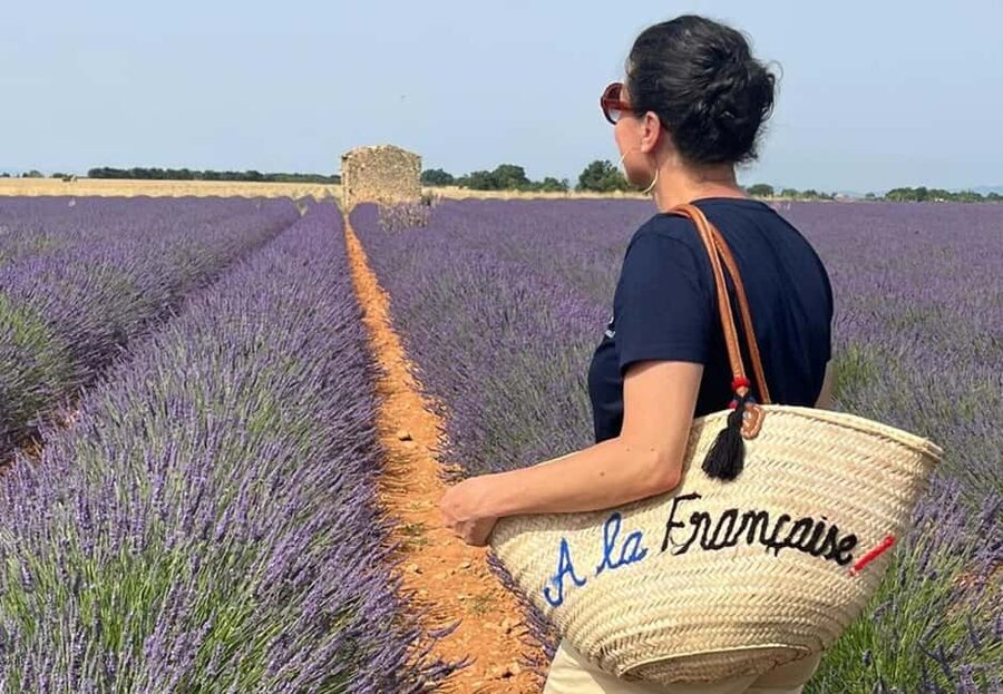 From Marseille: Valensole Lavenders Tour from Cruise Port - The Drive From Marseille Cruise Port