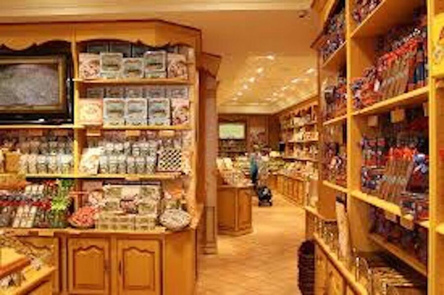 From Nice: Full-Day Provence and Lavender Tour - What $234 really buys you
