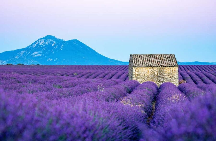 From Nice: Verdon Gorges & Lavender Fields Tour & Transport - Coffee and a short pause in Castellane