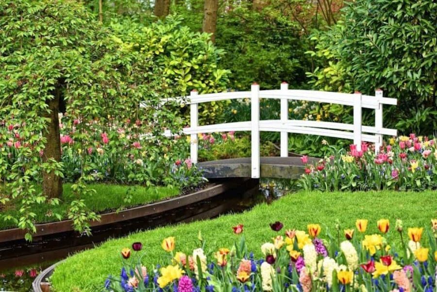From Rotterdam: Private Keukenhof & Windmills Tour - Timing, weather, and the right season