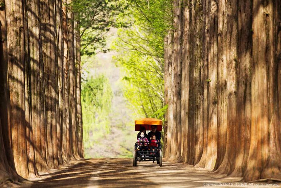 From Seoul: Nami Island, K-drama Garden & Rail Bike Day Tour - Who should book this experience