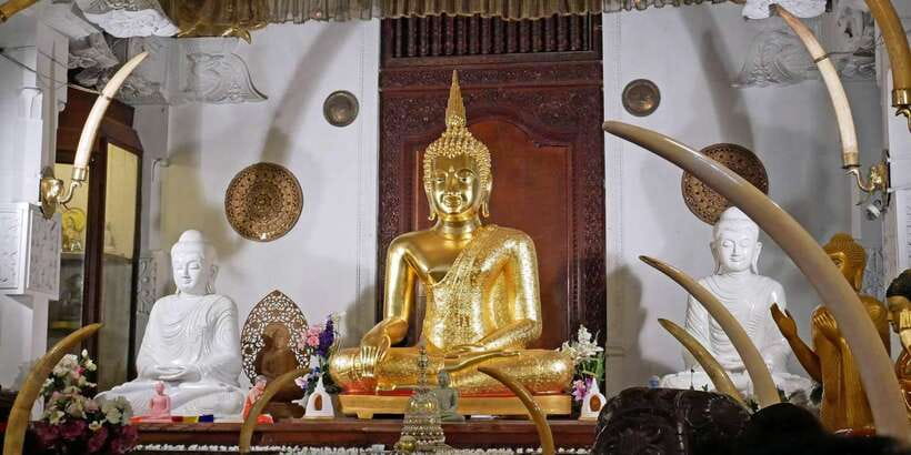 From Sigiriya: Kandy Transfer with Dambulla and Spice Garden - The spice garden: useful lessons with a sales pitch