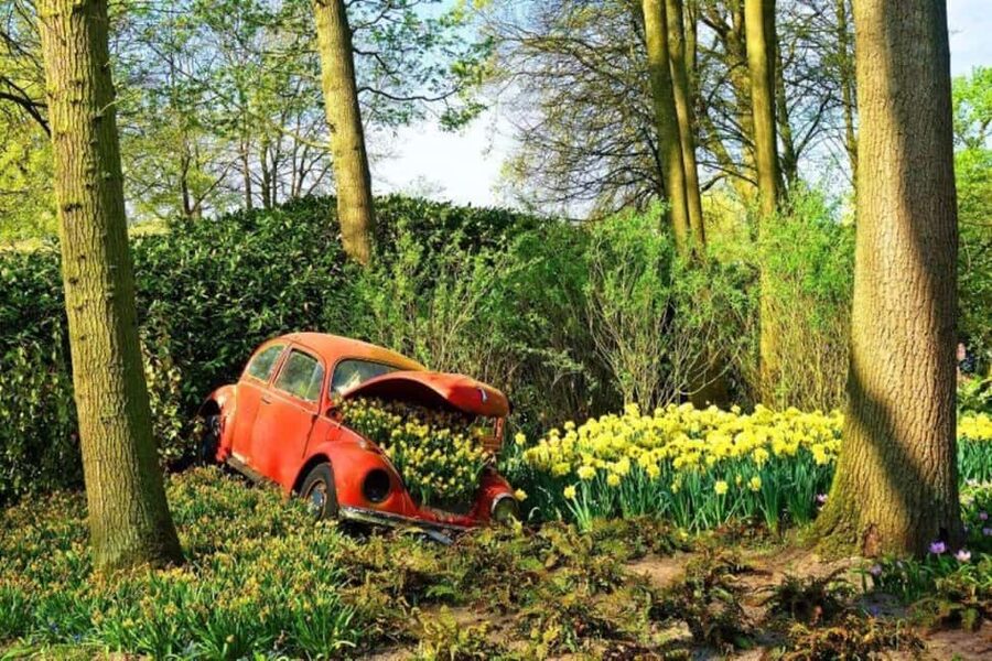 From The Hague: Private Sightseeing tour to Keukenhof - Key points to know before booking