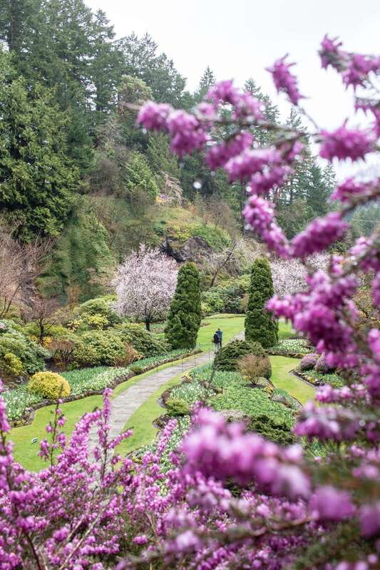 From Vancouver: Victoria, BC Ferry, Butchart Gardens Tour - The Pace, Group Style, and Practical Limits
