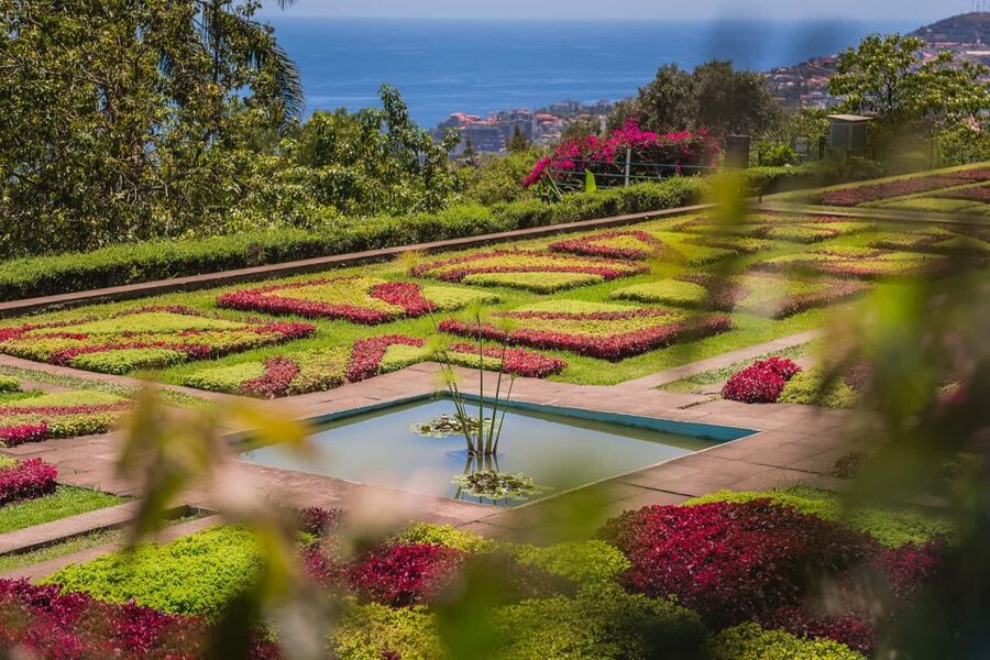 Funchal: Botanical Garden and Old Town Private Tuk-Tuk Tour - Key points to know before booking