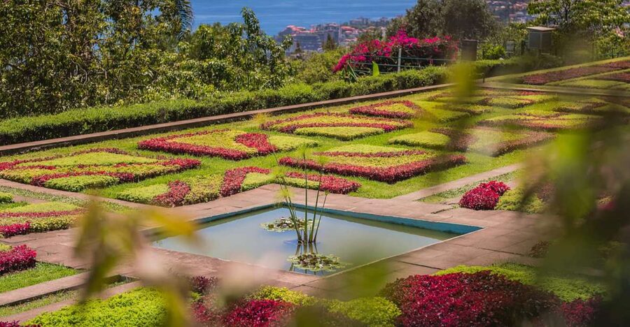 Funchal: Botanical Garden and Old Town Private Tuk-Tuk Tour - The uphill ride to the Botanical Garden