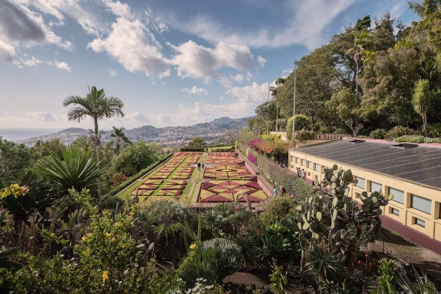 Funchal: Botanical Garden and Old Town Private Tuk-Tuk Tour - The guide makes the biggest difference