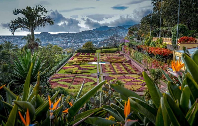 Funchal: Botanical Garden & Old Town Tour by TukTuk (1h45) - Starting in Funchal’s Old Town