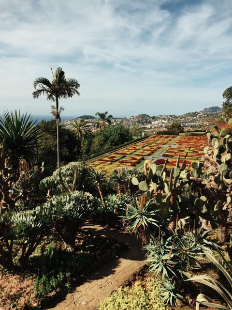 Funchal: Guided Old Town Tuk Tuk Tour and Botanical Gardens - Funchal’s Old Town and the feel of the 16th century