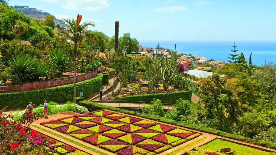 Funchal: Madeira Botanical Garden Tuk-Tuk Tour + Old Town - Key points at a glance
