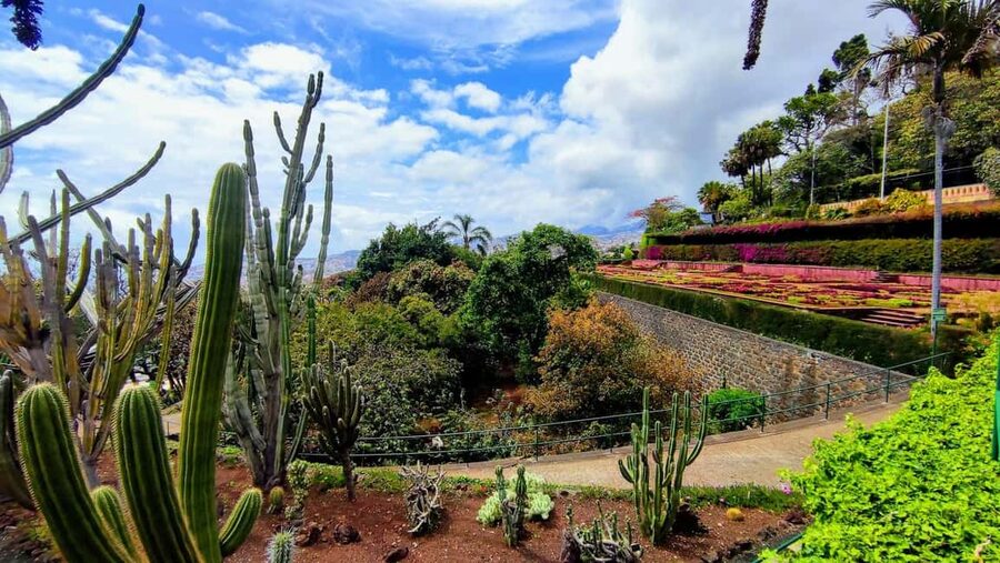 Funchal: Madeira Botanical Garden Tuk-Tuk Tour + Old Town - The natural history museum adds context