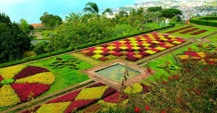 Funchal: Madeira Botanical Garden Tuk-Tuk Tour + Old Town - Passing the Farmers’ Market and Zona Velha