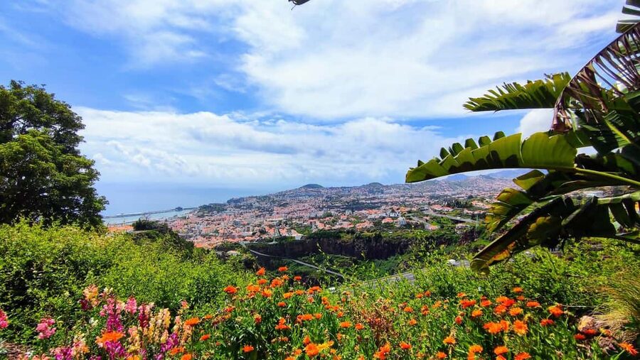 Funchal: Madeira Botanical Garden Tuk-Tuk Tour + Old Town - What the private format really gives you