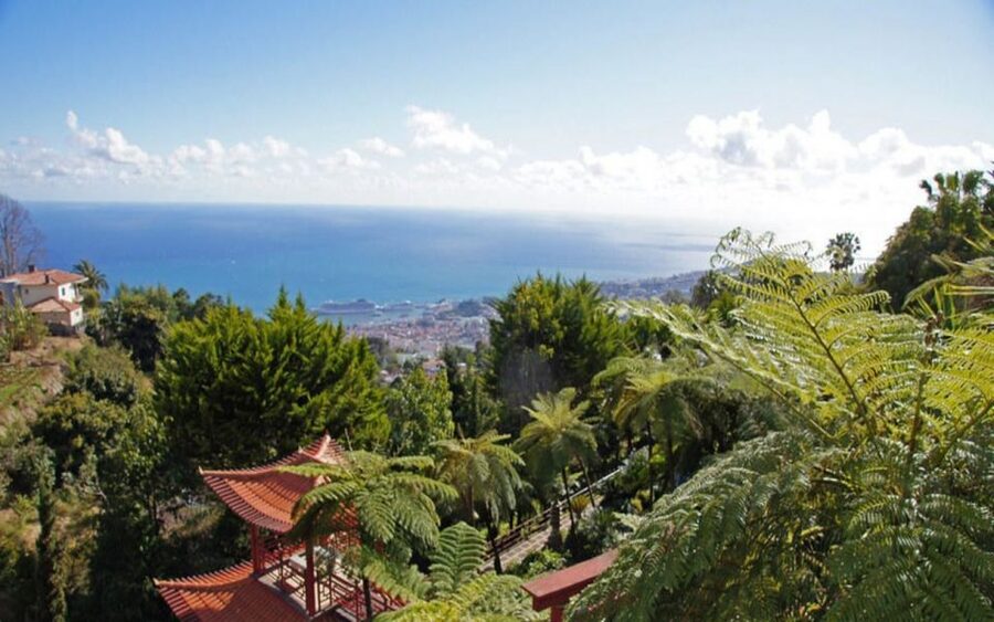 Funchal: Monte Palace Tropical Gardens Tuk Tuk Tour - Why this tuk tuk ride works well in Funchal