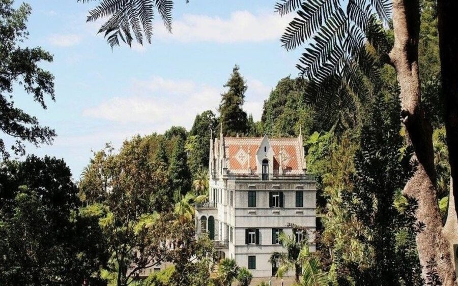 Funchal: Monte Palace Tropical Gardens Tuk Tuk Tour - Climbing from central Funchal to Monte