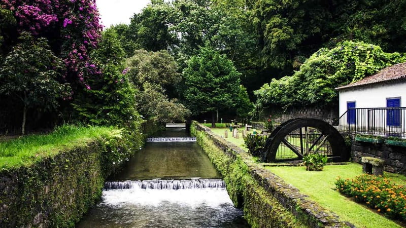 Furnas & Terra Nostra Gardens Biologist-guided e-Tour +lunch - Key points at a glance