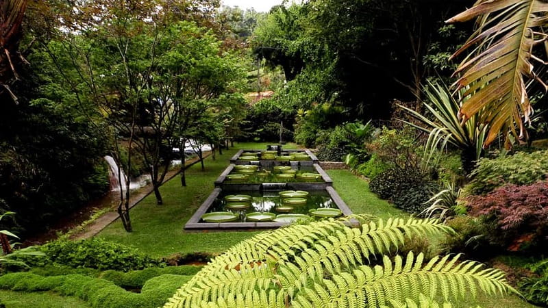Furnas & Terra Nostra Gardens Biologist-guided e-Tour +lunch - Who should book this experience