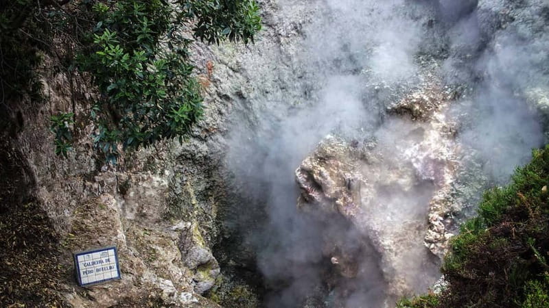 Furnas & Terra Nostra Gardens Biologist-guided e-Tour +lunch - Why Furnas makes such a good full-day outing