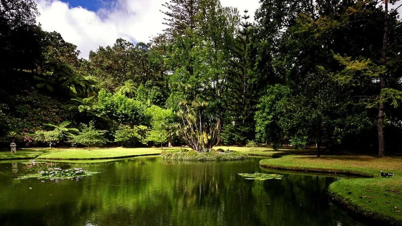 Furnas & Terra Nostra Gardens Biologist-guided e-Tour +lunch - Three hours inside Terra Nostra Gardens