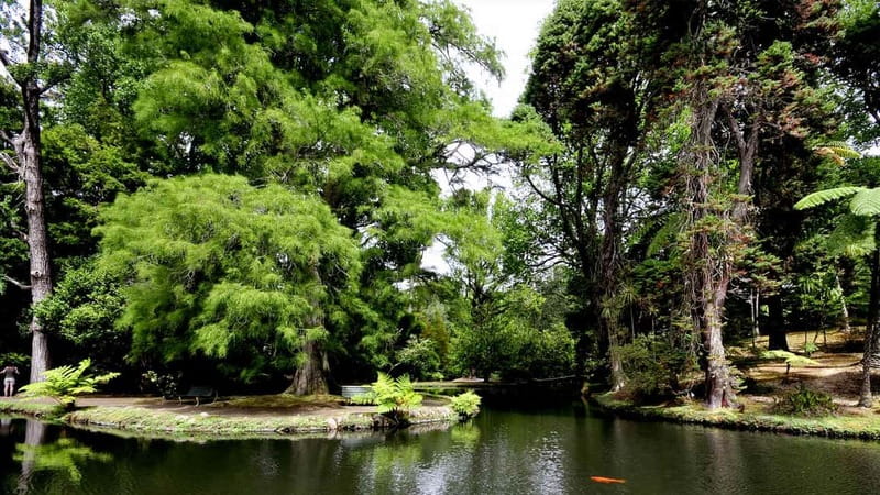 Furnas & Terra Nostra Gardens Biologist-guided e-Tour +lunch - Finishing with a mineral hot-spring bath