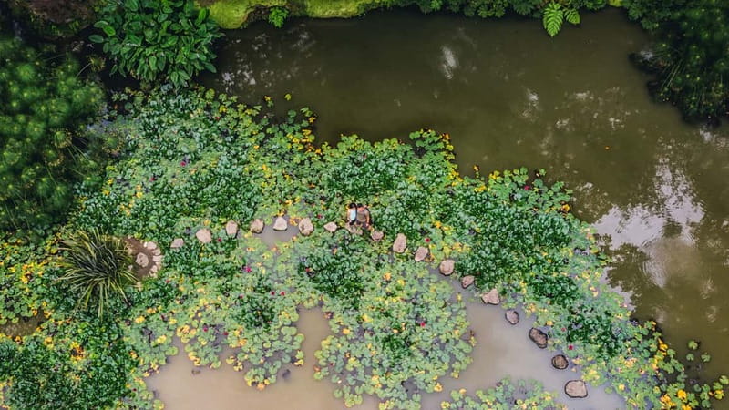 Furnas & Terra Nostra Gardens Biologist-guided e-Tour +lunch - Starting at Vila Franca do Campo Marina