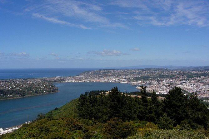 Garden and City tour - A practical Dunedin overview from Port Chalmers