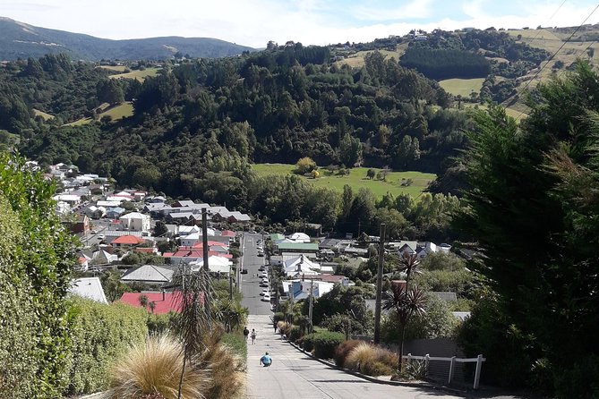 Garden and City tour - Toitū Otago Settlers Museum adds local context