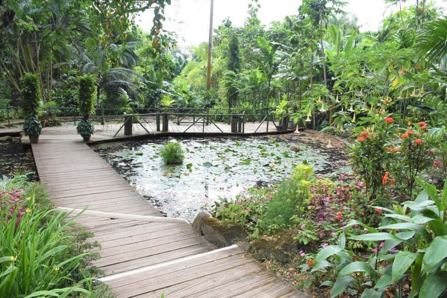 Garden of Sleeping Giant with Sabeto Hotspring Mudpool Tour - Key points to know before you book