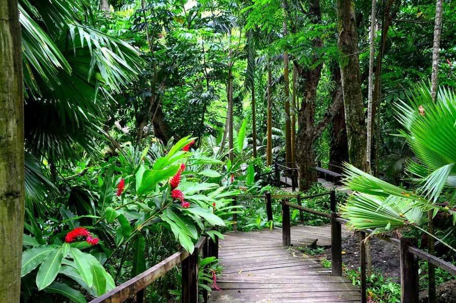 Garden of Sleeping Giant with Sabeto Hotspring Mudpool Tour - Should you book the Garden of the Sleeping Giant and Sabeto tour?
