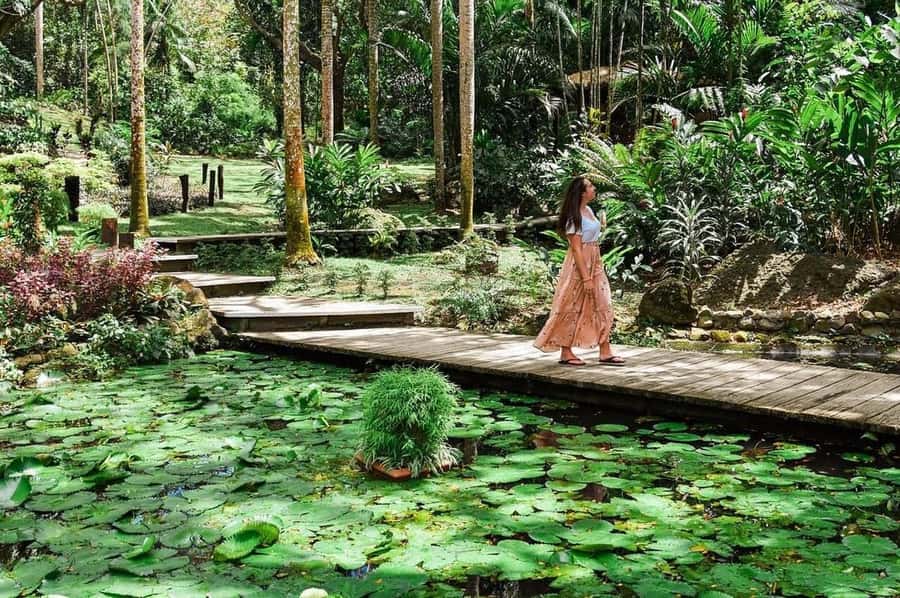 Garden of Sleeping Giant with Tifajek Mudpool Hotspring Tour - Key points to know before booking