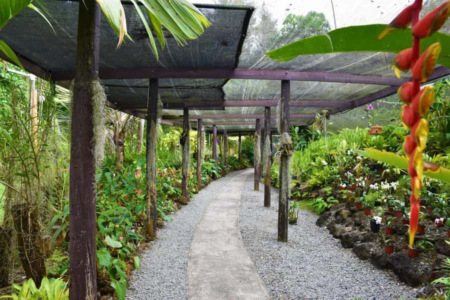 Garden of Sleeping Giant with Tifajek Mudpool Hotspring Tour - Mud pool and hot spring bathing