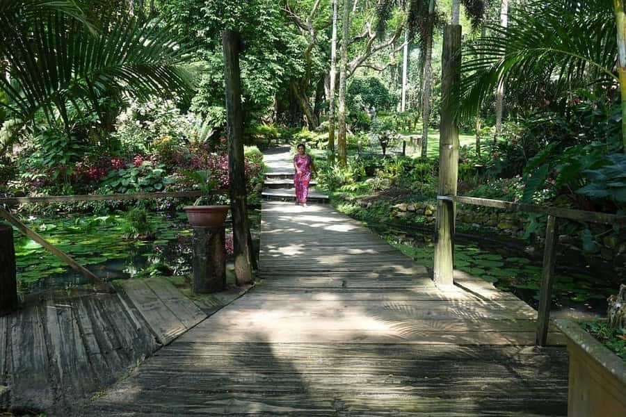 Garden of Sleeping Giant with Tifajek Mudpool Hotspring Tour - Optional massage and the foot soak