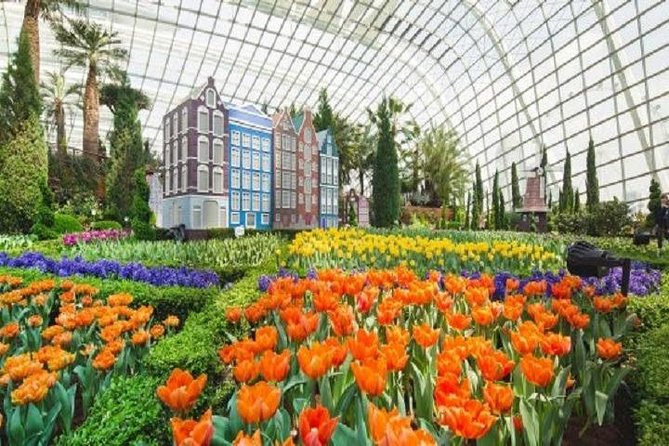 Gardens By The Bay E-Tickets - Choosing between Cloud Forest, Flower Dome, and Floral Fantasy