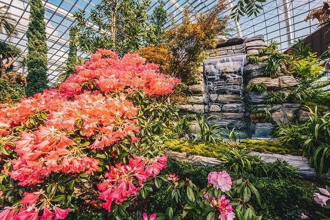 Gardens By The Bay E-Tickets - Walking the wider 101-hectare gardens