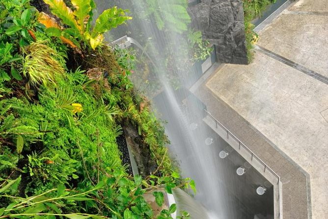 Gardens By the Bay Exp Event - Singapore’s indoor jungle begins with the Cloud Forest