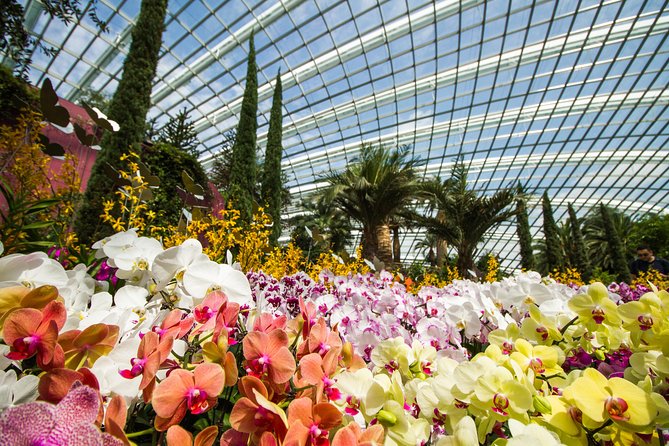 Gardens By the Bay Exp Event - How much time should you set aside?