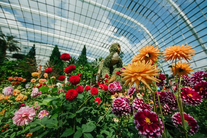 Gardens By the Bay Exp Event - Is the $57.97 price good value?